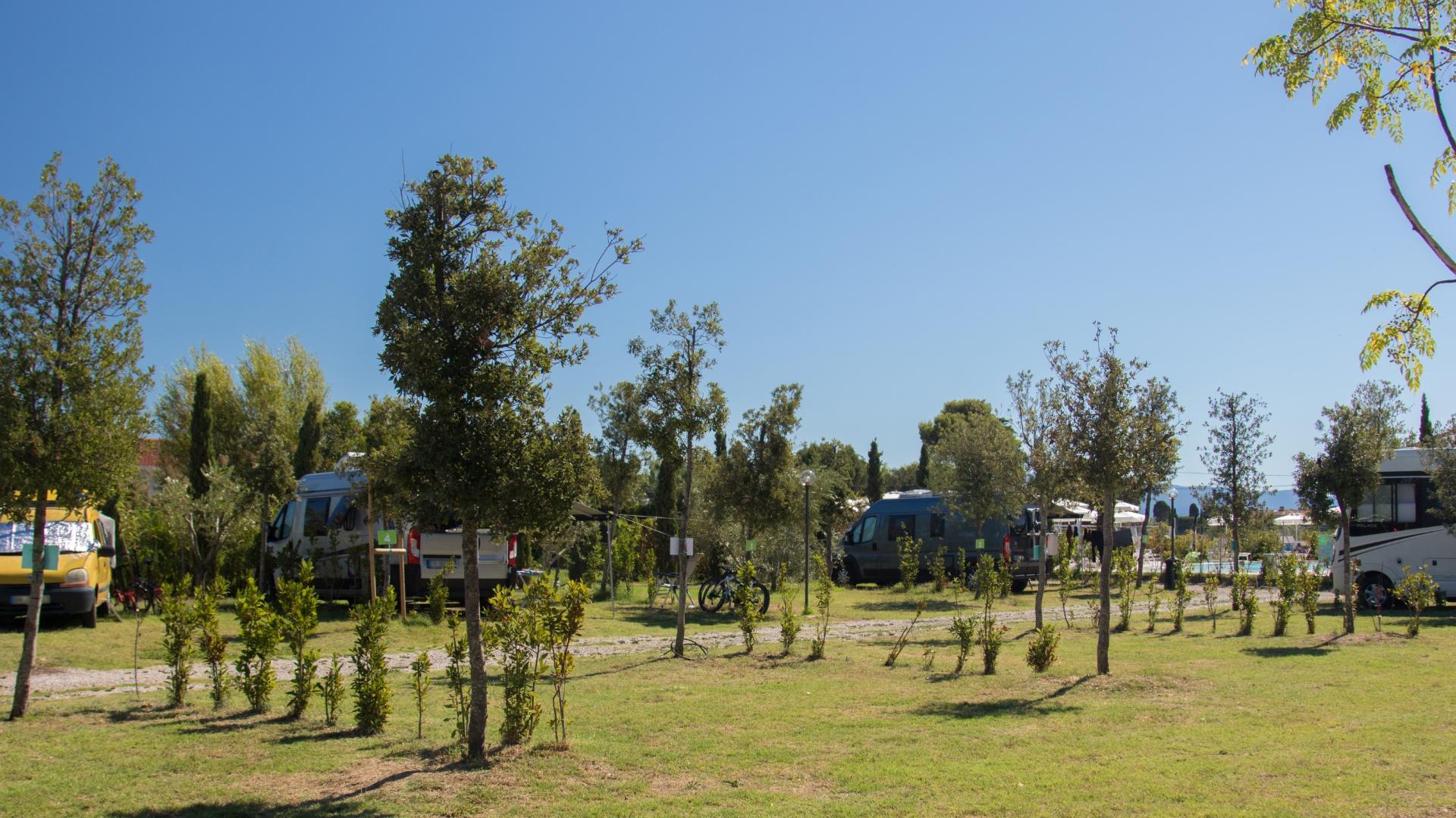 Camper parcheggiati in un'area verde con alberi e cielo sereno.