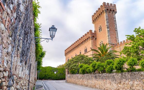 Castello medievale con torre e mura in pietra, circondato da alberi e vegetazione.