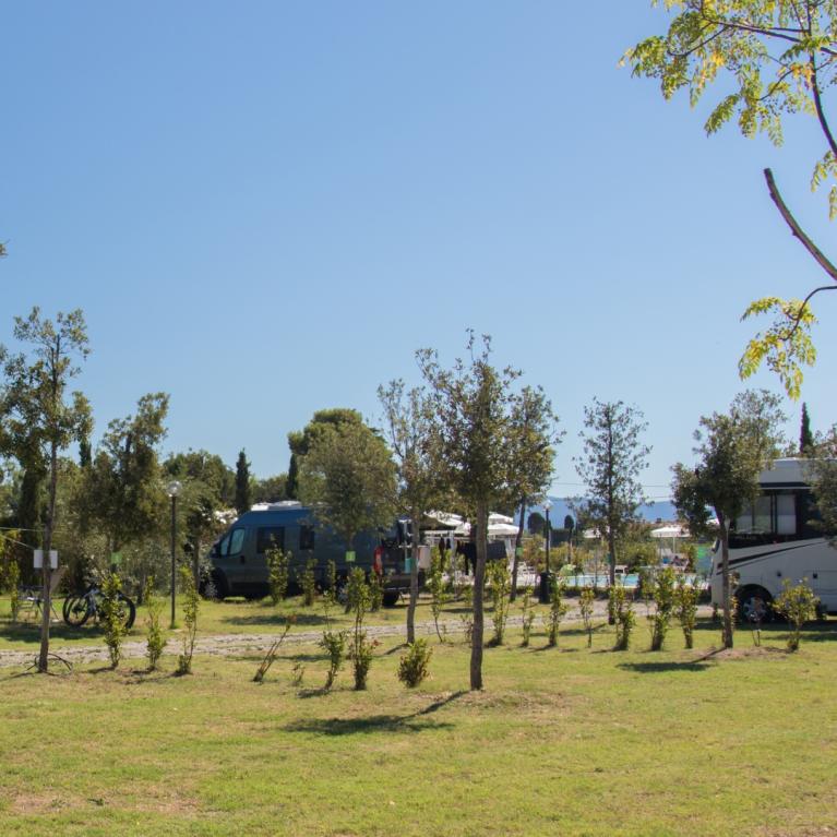 Camper parcheggiati in un'area verde con alberi e cielo sereno.