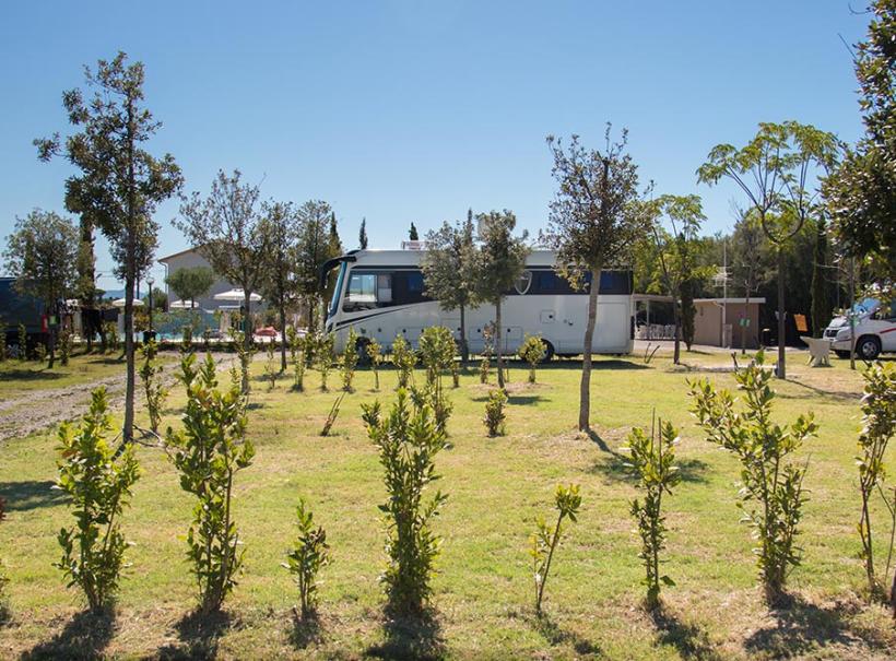 Camper parcheggiato in un'area verde con alberi e cielo sereno.