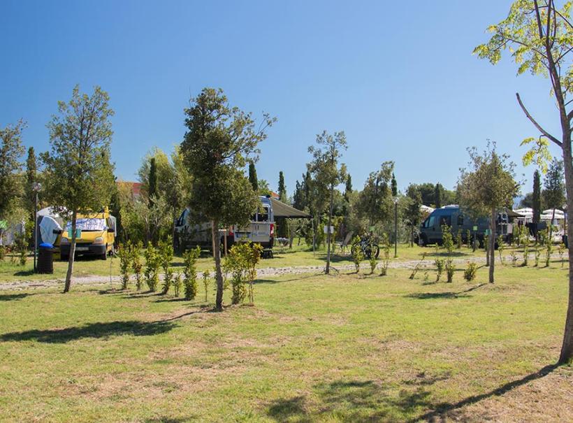 Campeggio con camper tra alberi e prato verde sotto un cielo sereno.