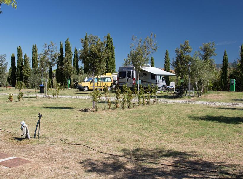 Camper e furgone parcheggiati in un'area verde con alberi e cielo sereno.