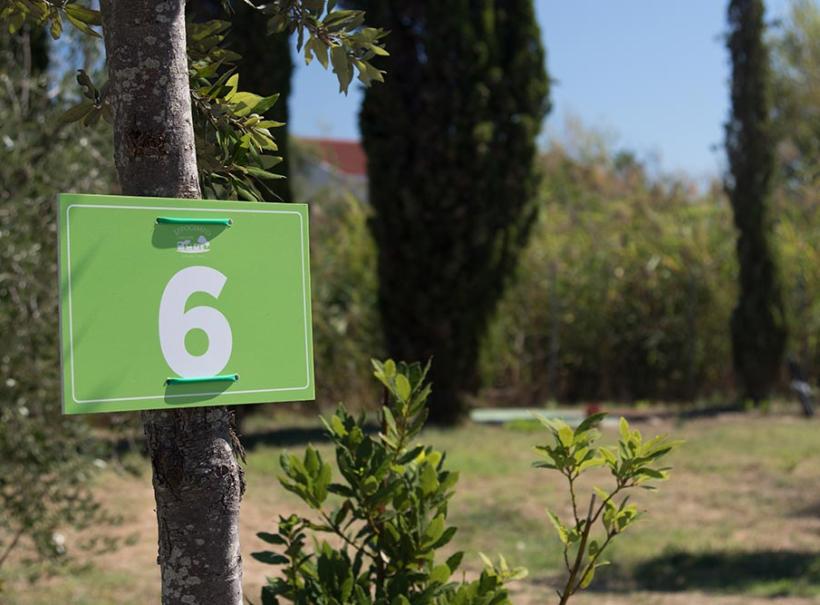 Cartello verde con numero 6 attaccato a un albero in un giardino.