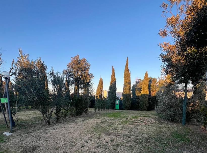 Giardino con cipressi e cielo sereno, area verde e pietre sul terreno.